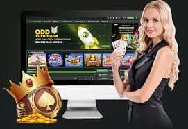 Live Casino ဂိမ်းများ — Real Dealer ဖြင့်ကစားရ